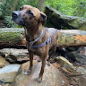 Meet your Posher, Brittany